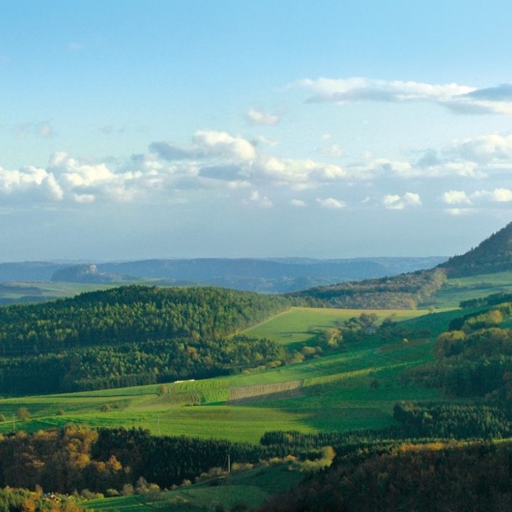 Spargelzeit Spargelgerichte Spargelzeit Spargelgerichte
